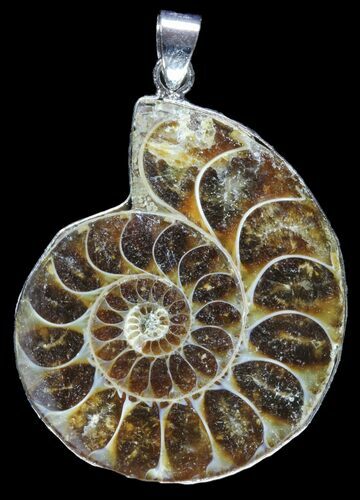 Fossil Ammonite Pendant - Million Years Old #89852